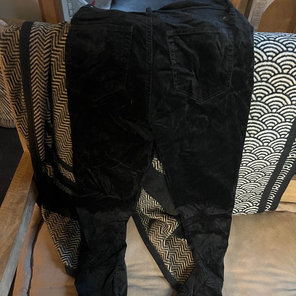Loft velvet black pants